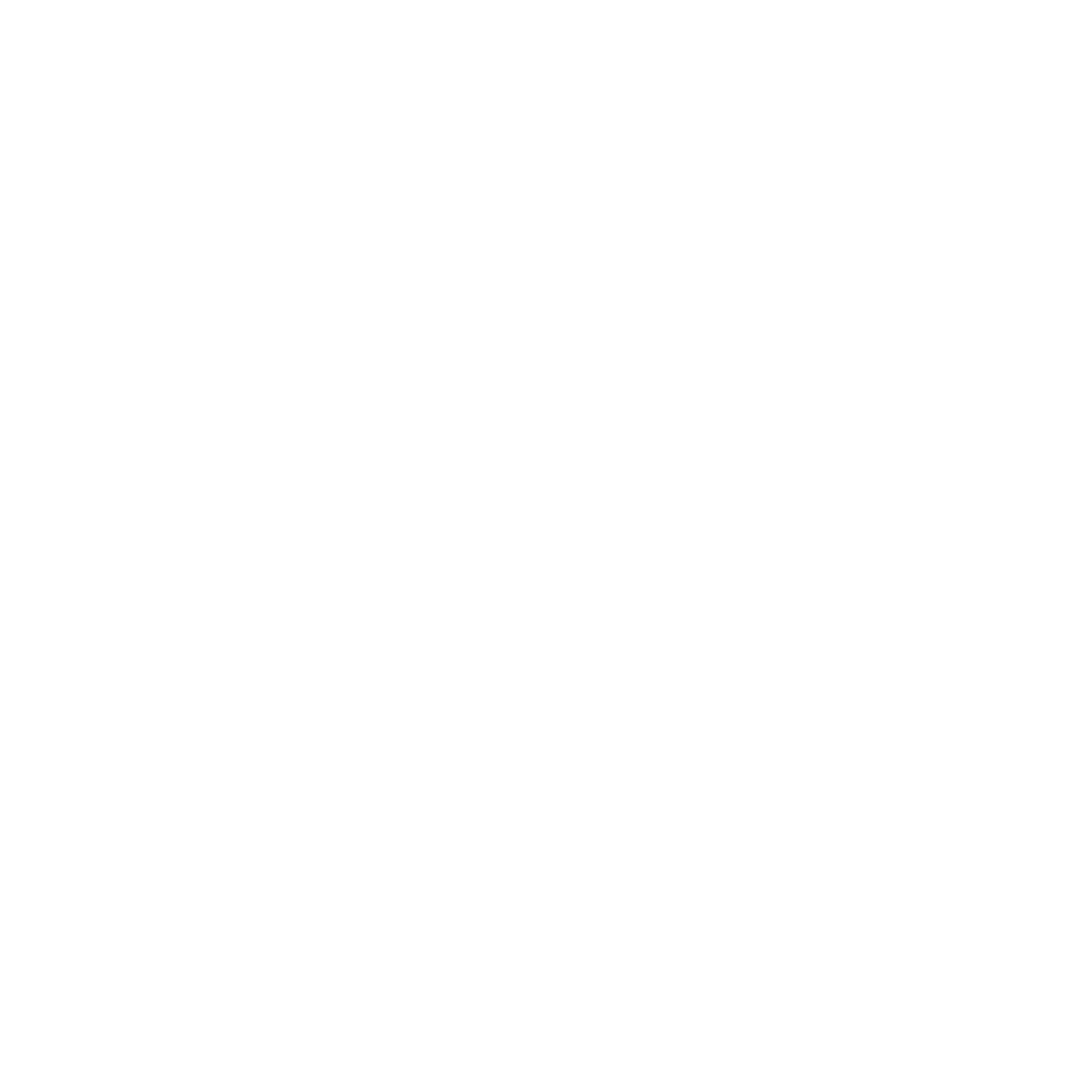 VNV Gourmet Logo